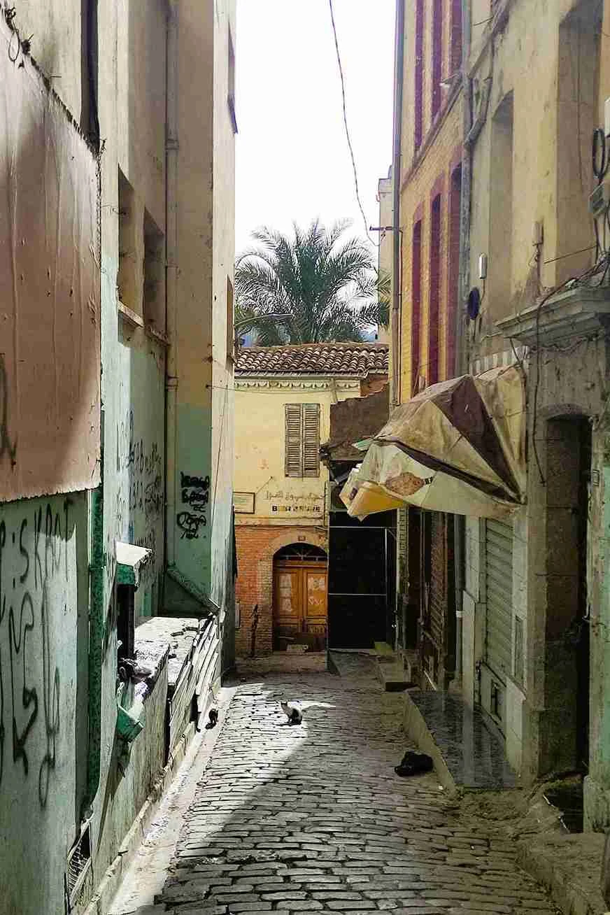 Fotografske impresije Alžira na autorskoj izložbi fotografija Nevene Janjić - slika 6
